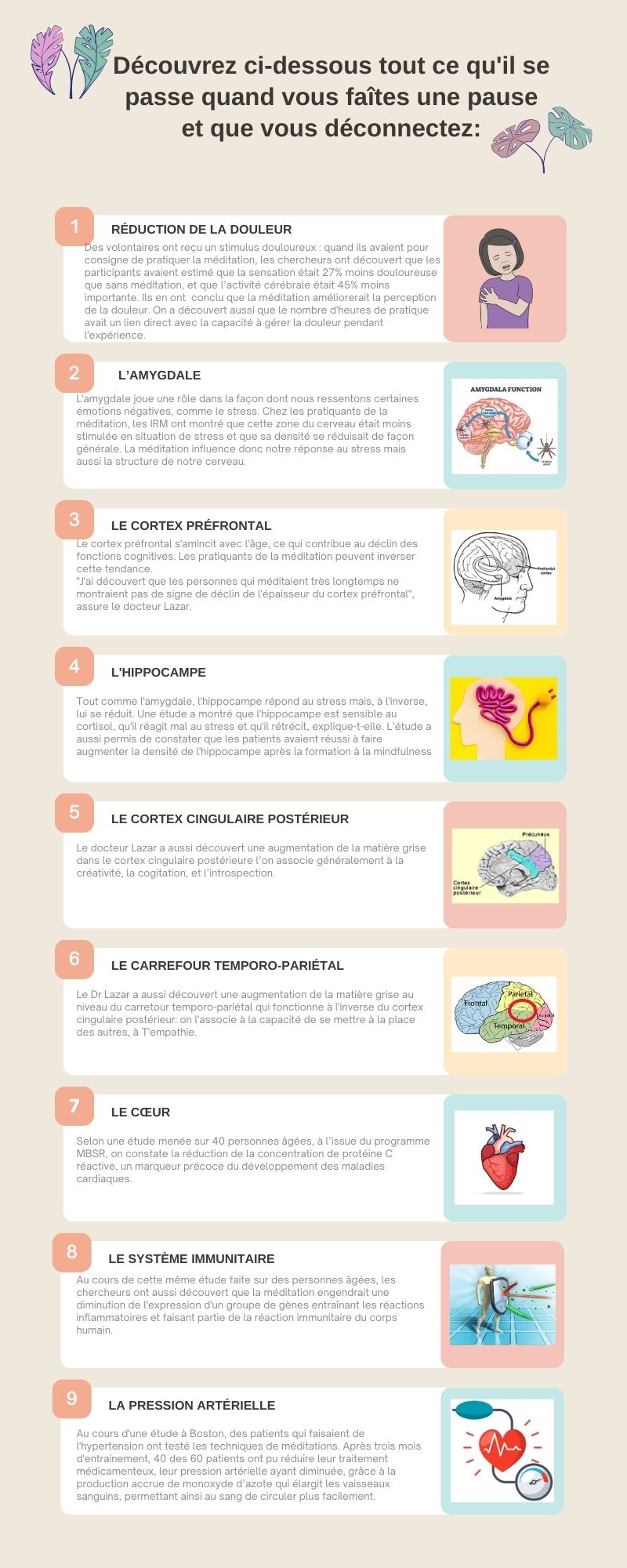 Infographie effets corps méditation